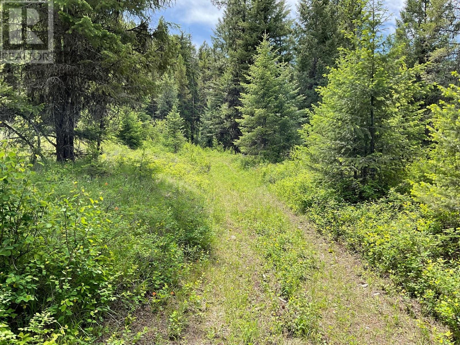 Lot 1 Nicholson Creek Road, Rock Creek, British Columbia  V0H 1Y0 - Photo 11 - 2477623