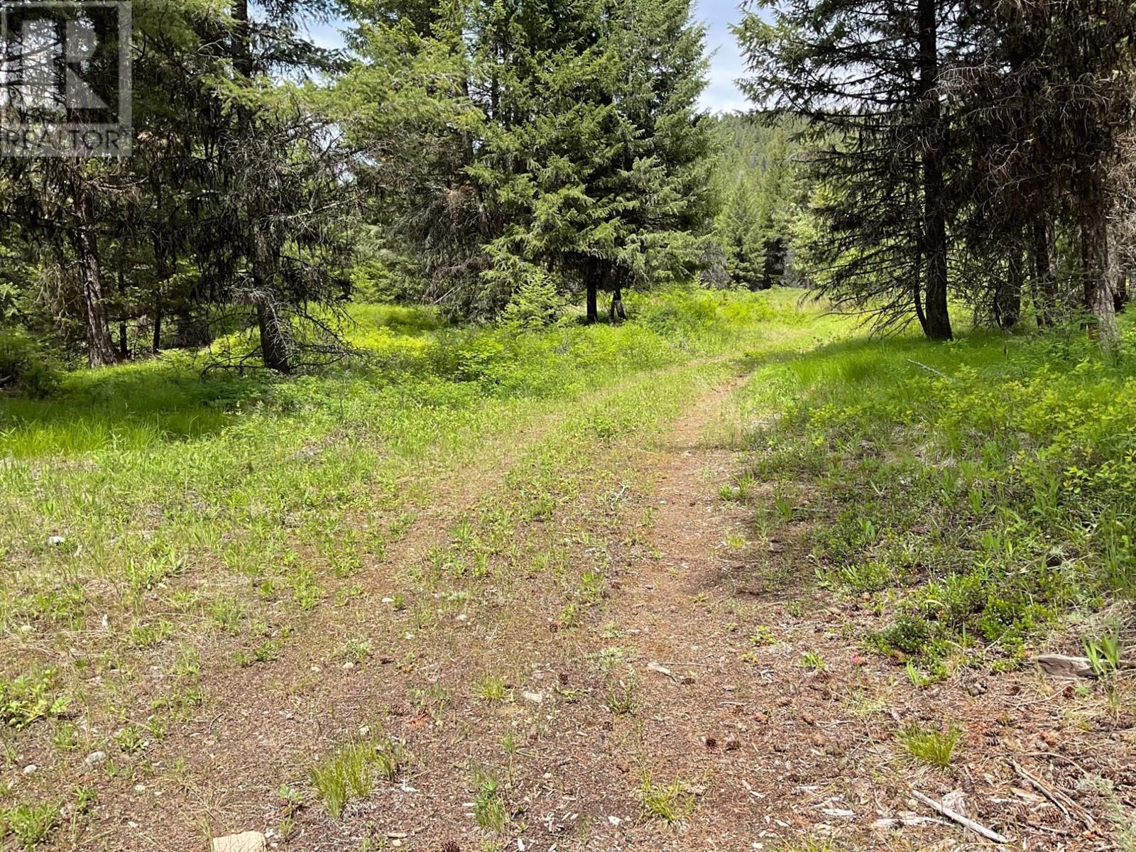 Lot 1 Nicholson Creek Road, Rock Creek, British Columbia  V0H 1Y0 - Photo 14 - 2477623