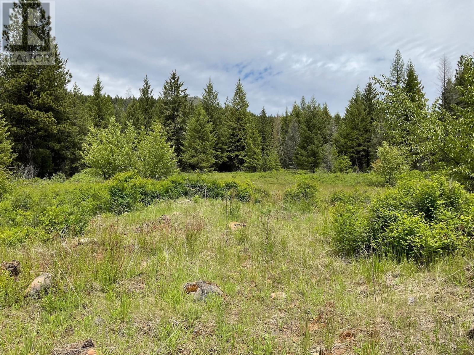 Lot 1 Nicholson Creek Road, Rock Creek, British Columbia  V0H 1Y0 - Photo 15 - 2477623