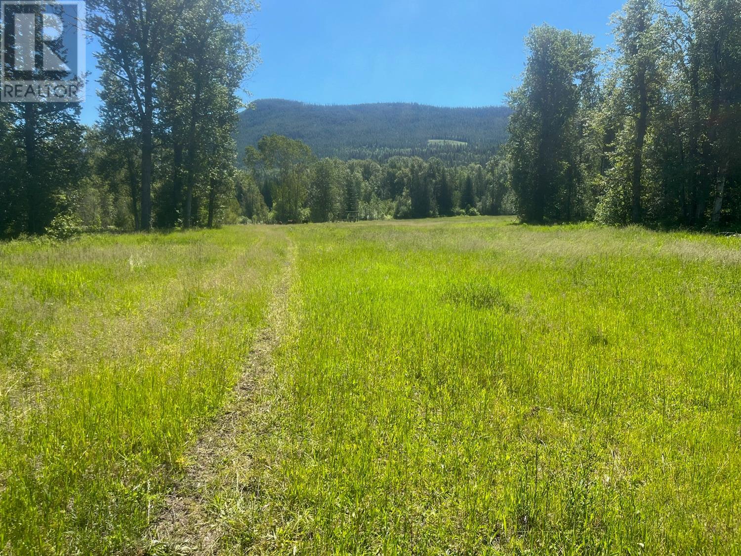 2736 Enderby Mabel Lake Road, Enderby, British Columbia  V0E 2V5 - Photo 11 - 10316724