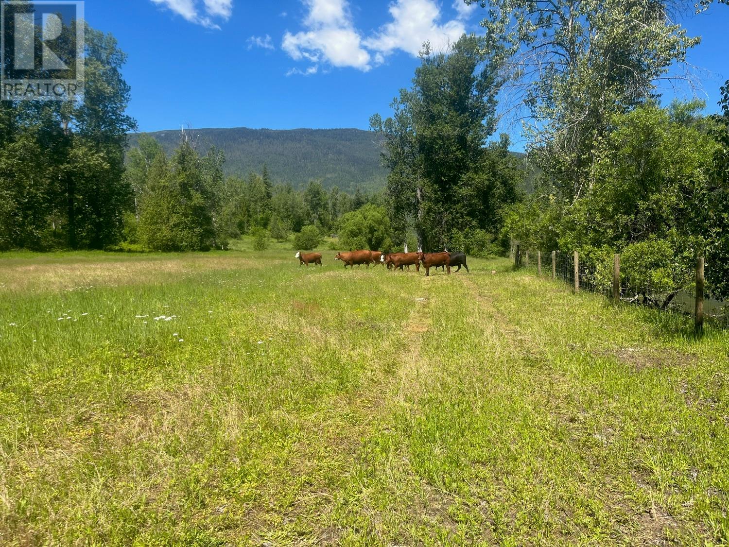 2736 Enderby Mabel Lake Road, Enderby, British Columbia  V0E 2V5 - Photo 14 - 10316724