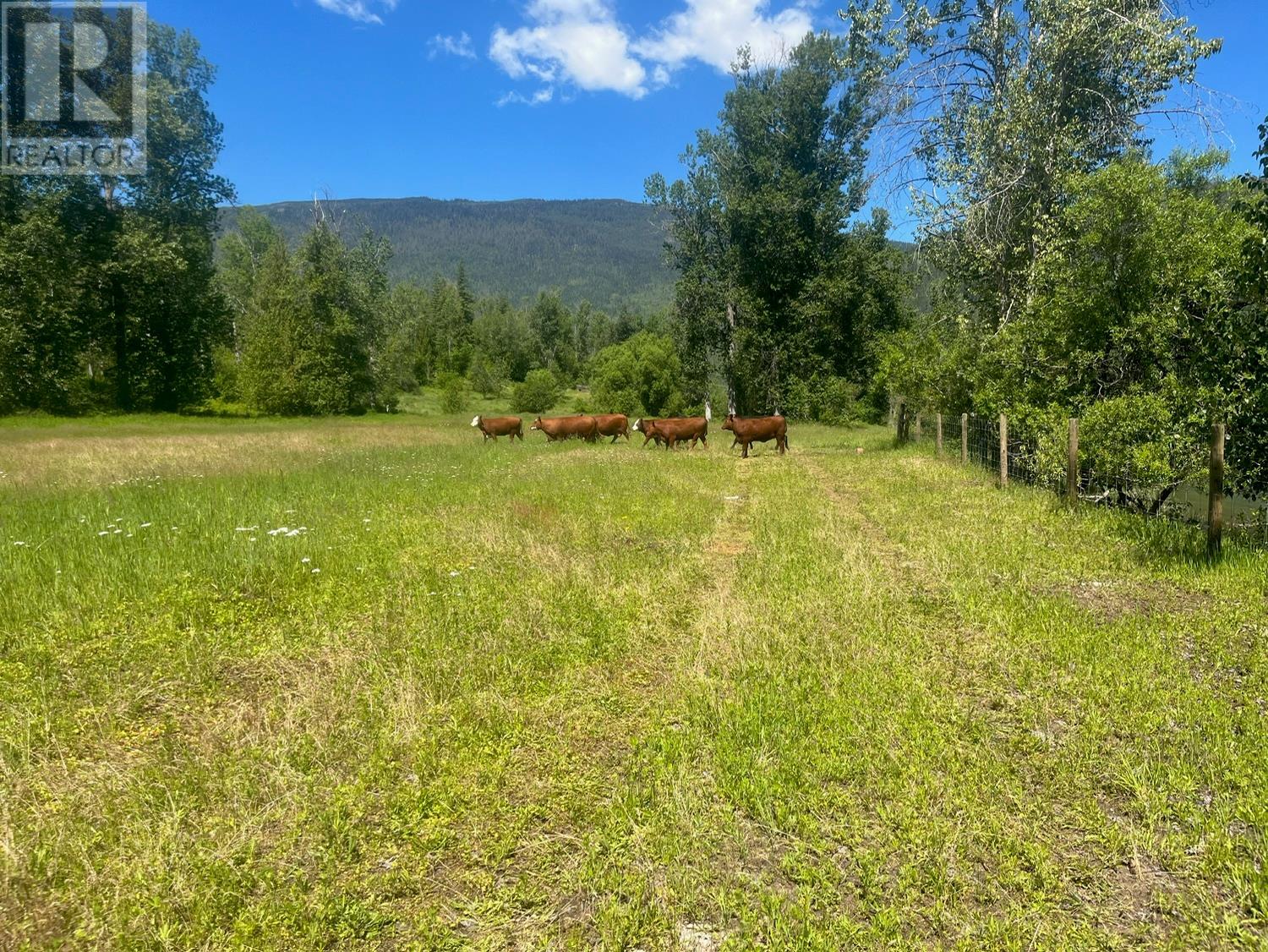 2736 Enderby Mabel Lake Road, Enderby, British Columbia  V0E 2V5 - Photo 15 - 10316724