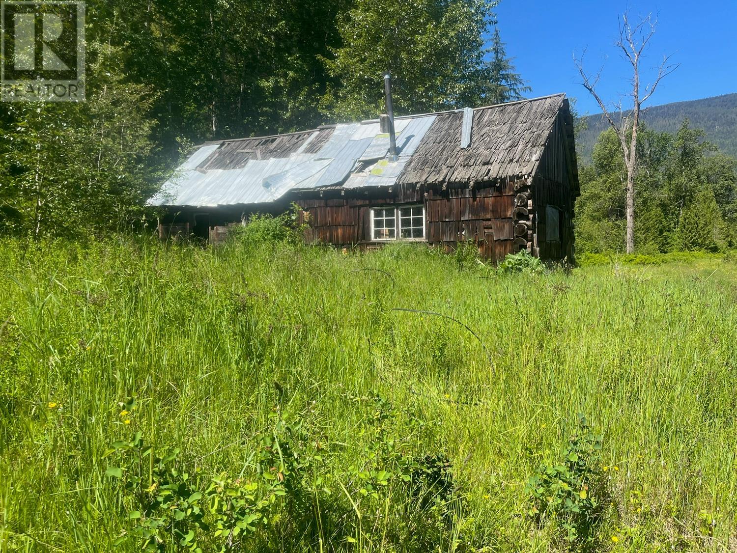 2736 Enderby Mabel Lake Road, Enderby, British Columbia  V0E 2V5 - Photo 4 - 10316724