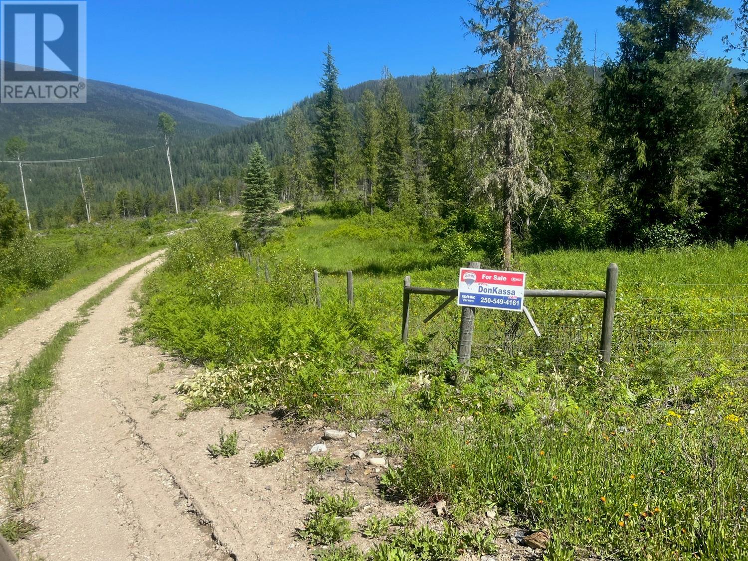 2736 Enderby Mabel Lake Road, Enderby, British Columbia  V0E 2V5 - Photo 5 - 10316724