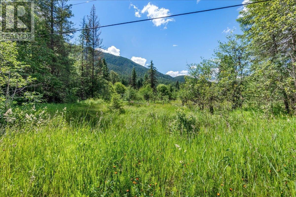 Lot 1 Graham Road, Appledale, British Columbia  V0G 2J0 - Photo 21 - 2477693