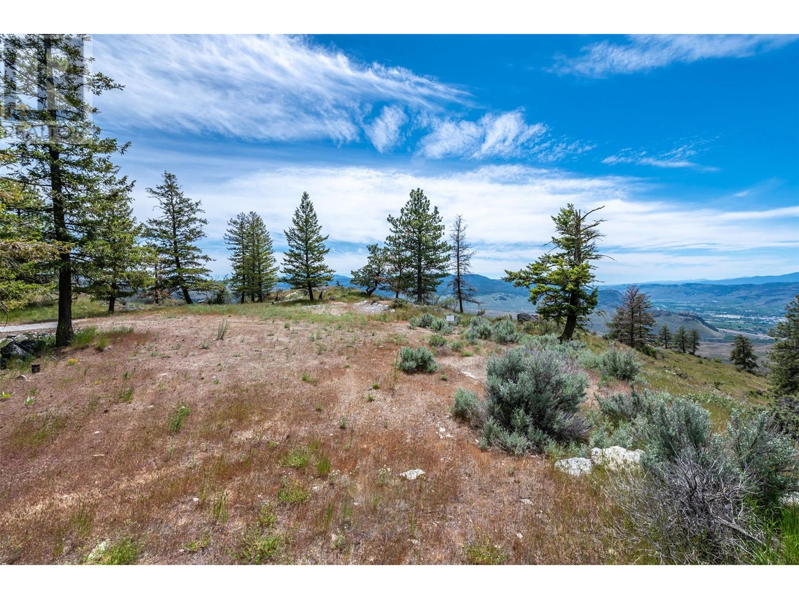 Lot 9 Bighorn Point, Osoyoos, British Columbia  V0H 1V6 - Photo 3 - 10316570