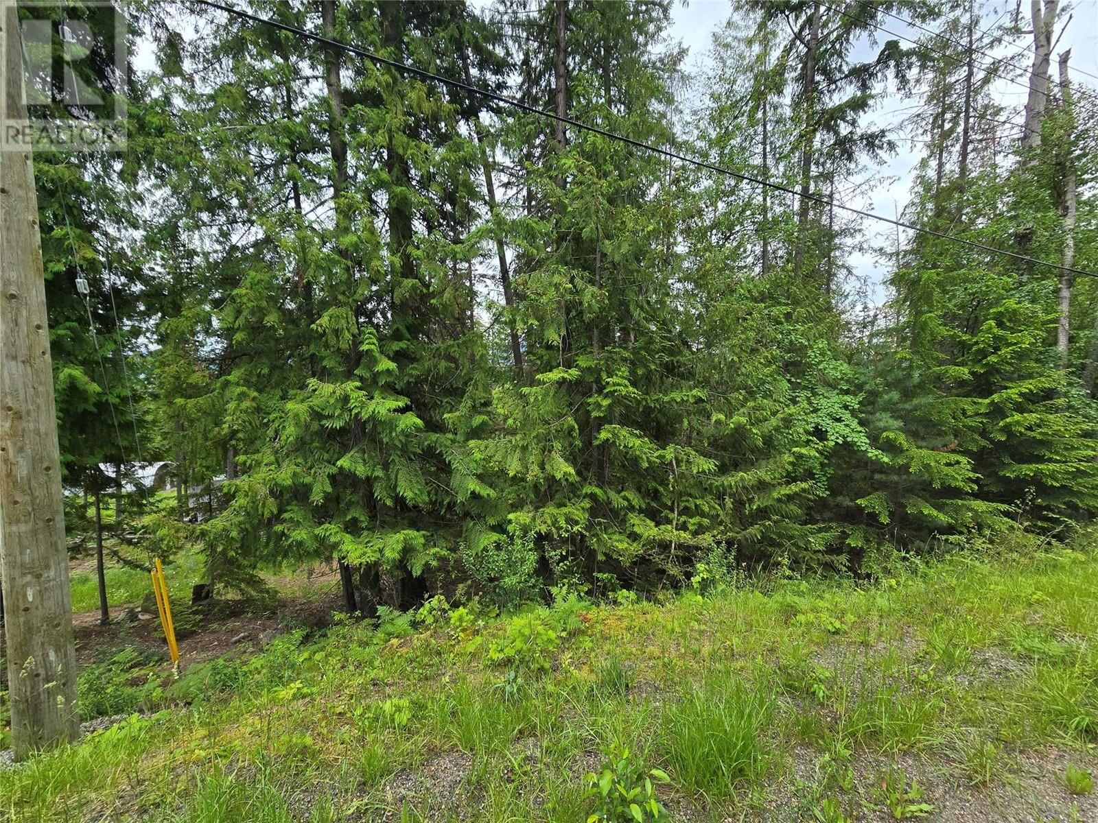 Lot 86 Anglemont Way, Anglemont, British Columbia  V0E 1M8 - Photo 1 - 10316963