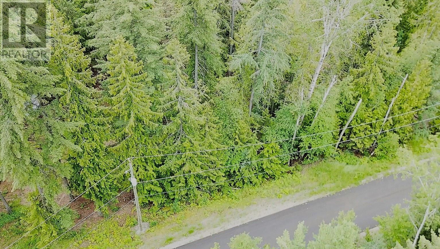 Lot 86 Anglemont Way, Anglemont, British Columbia  V0E 1M8 - Photo 11 - 10316963