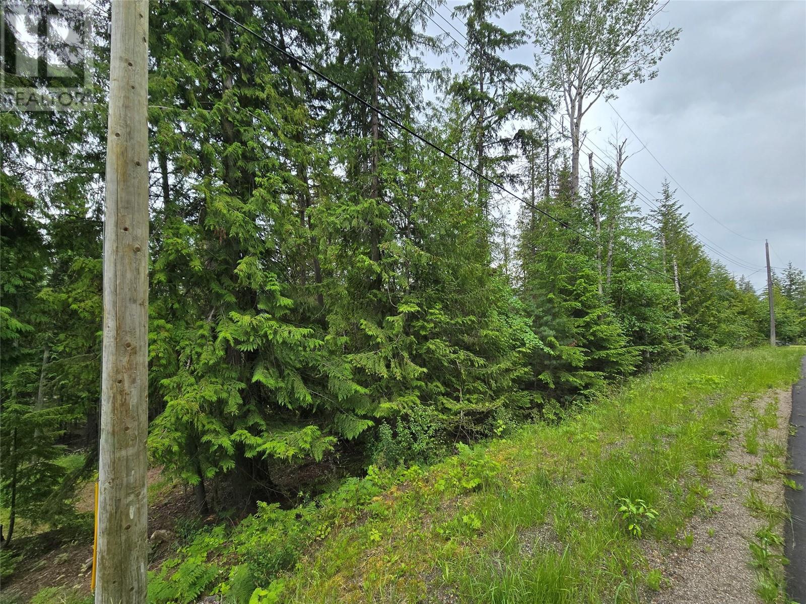 Lot 86 Anglemont Way, Anglemont, British Columbia  V0E 1M8 - Photo 2 - 10316963