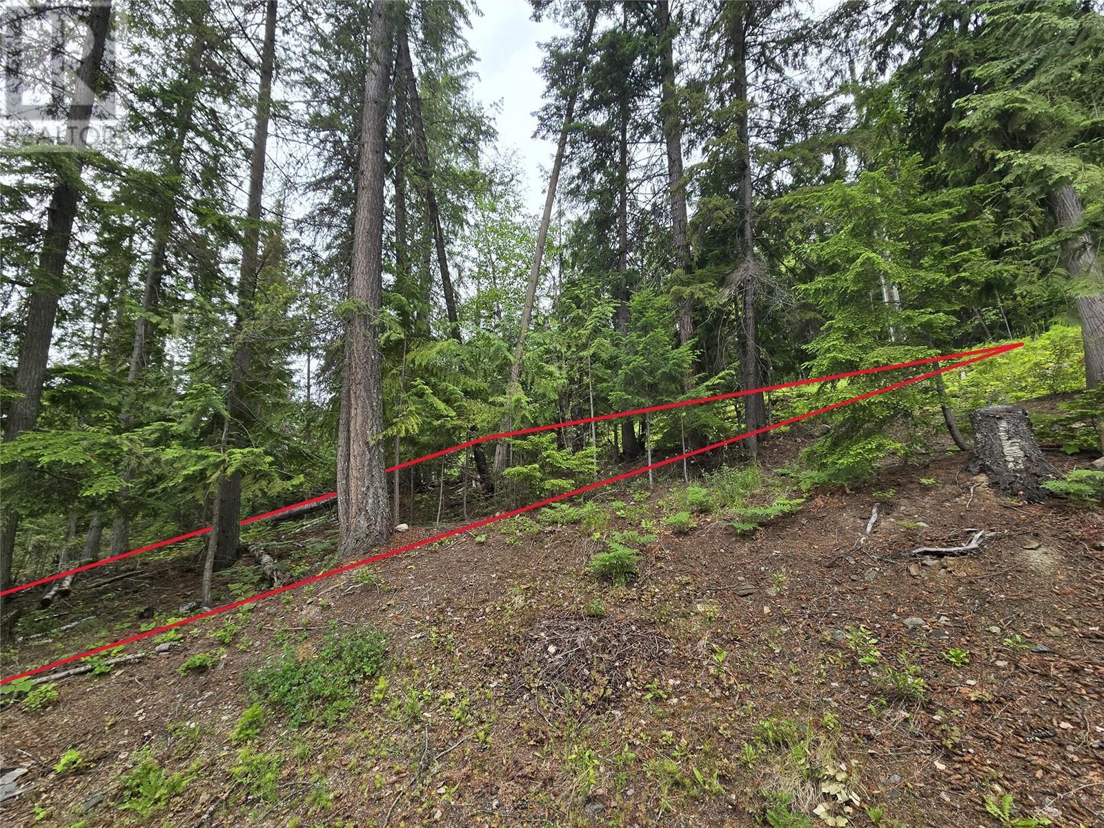 Lot 86 Anglemont Way, Anglemont, British Columbia  V0E 1M8 - Photo 4 - 10316963