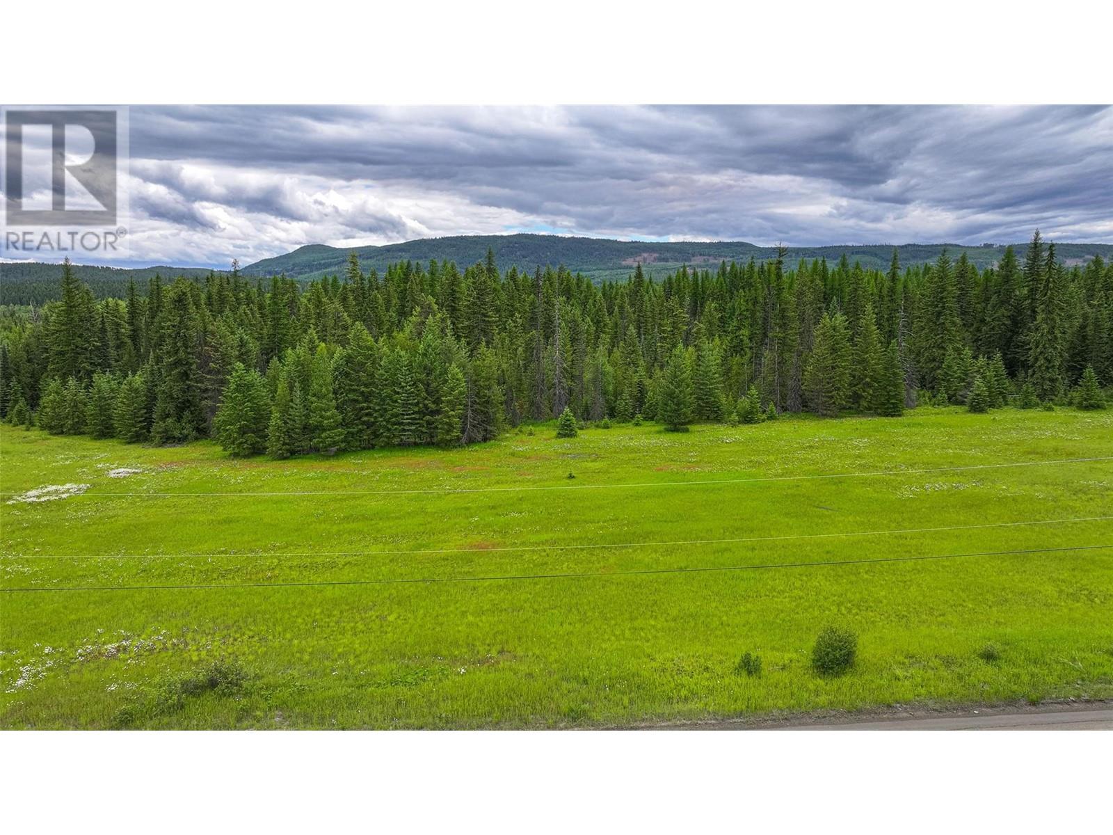 1420 Trinity Valley Road, Lumby, British Columbia  V0E 2G0 - Photo 42 - 10317743