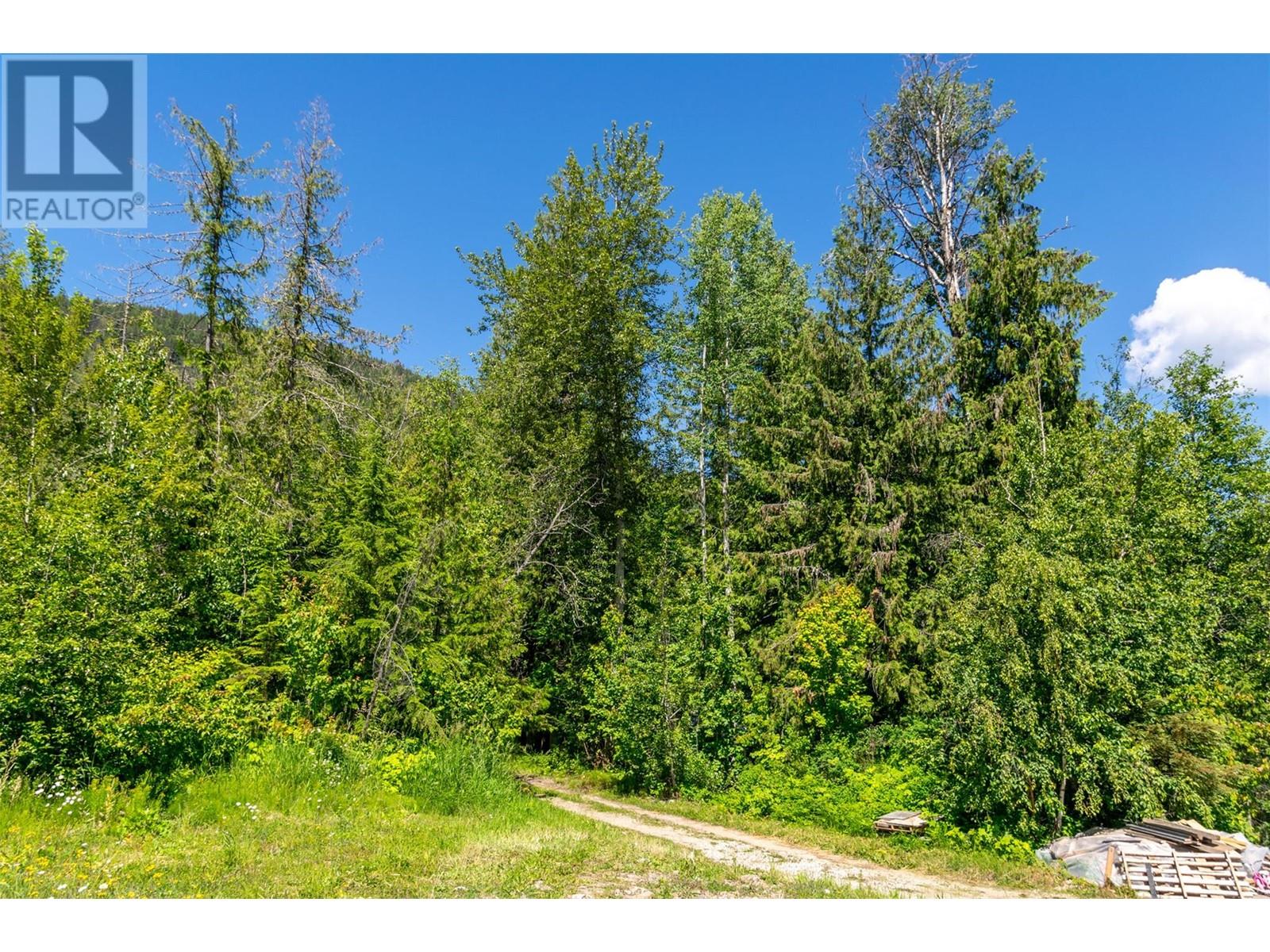 9933 Mara West Road Lot# 18, Sicamous, British Columbia  V0E 2V3 - Photo 12 - 10317822