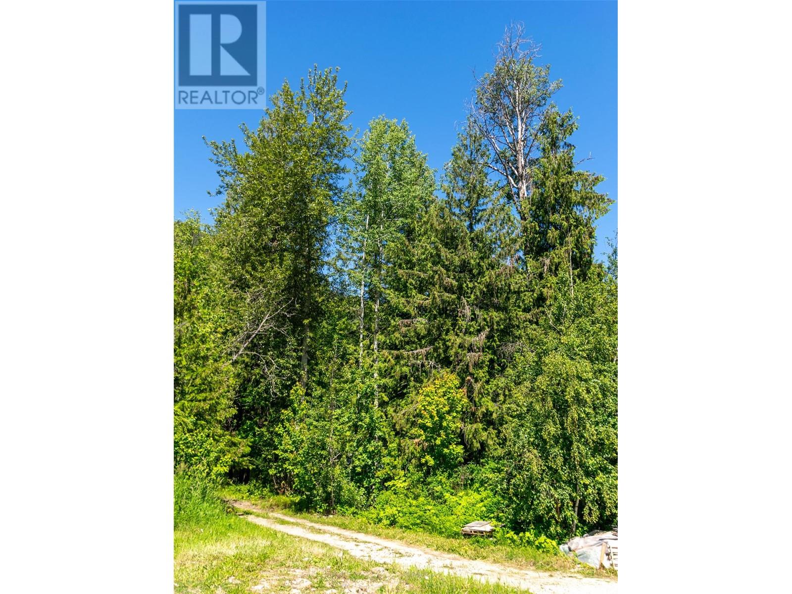 9933 Mara West Road Lot# 18, Sicamous, British Columbia  V0E 2V3 - Photo 13 - 10317822