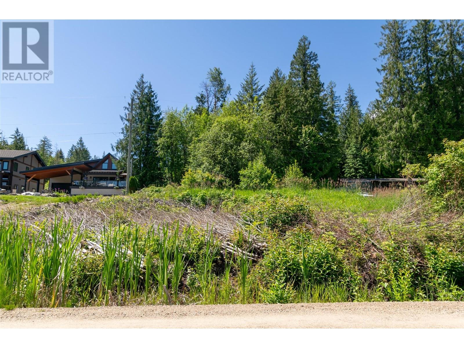 9933 Mara West Road Lot# 18, Sicamous, British Columbia  V0E 2V3 - Photo 8 - 10317822