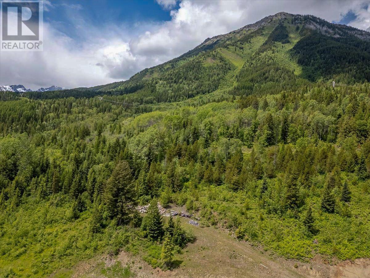 200 Burma Road Unit# Lot 9, Fernie, British Columbia  V0B 1M0 - Photo 39 - 2477963