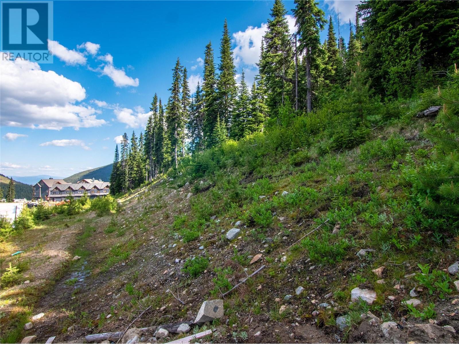 244 Creekview Road Lot# 1, Apex Mountain, British Columbia  V2A 0E2 - Photo 42 - 10318838