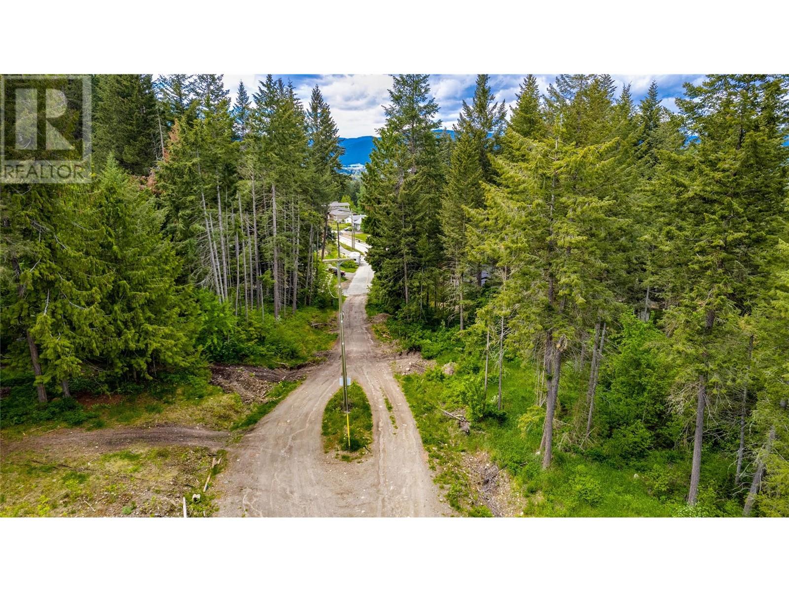 3294 (3299) Upper Mcleod Road Lot# 3299, Spallumcheen, British Columbia  V0E 1B8 - Photo 4 - 10319456