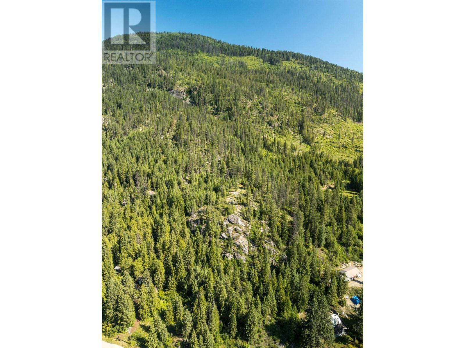 Lot 1 Erie-Ross Spur Road, Salmo, British Columbia  V0G 1Z0 - Photo 4 - 2478386