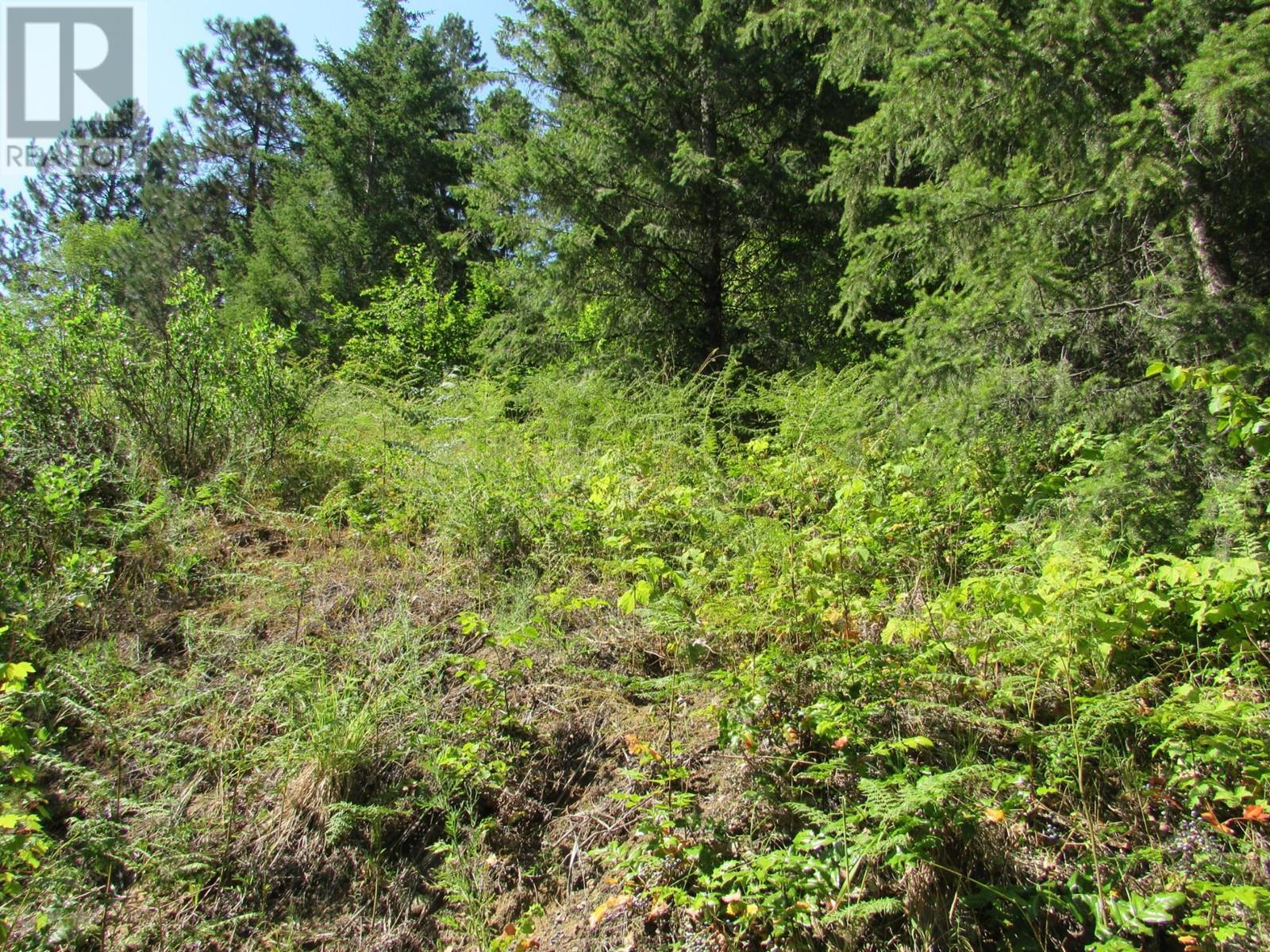 1365 Forest Road, Castlegar, British Columbia  V1N 3Z1 - Photo 13 - 2478420