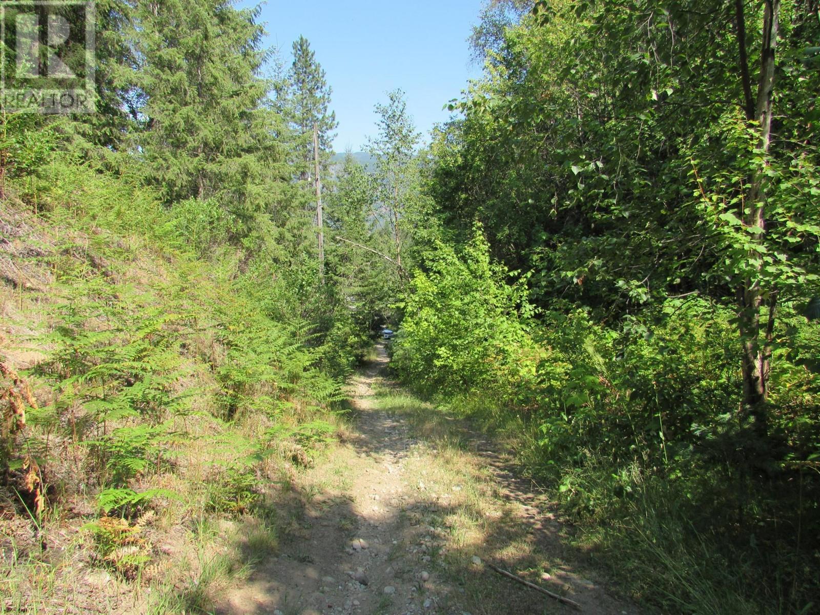 1365 Forest Road, Castlegar, British Columbia  V1N 3Z1 - Photo 27 - 2478420