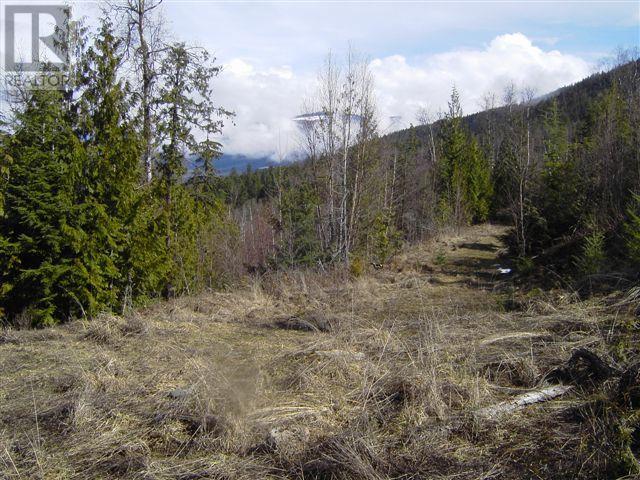 Lot 1 Kalli Bay, Eagle Bay, British Columbia  V0E 1T0 - Photo 16 - 10319921