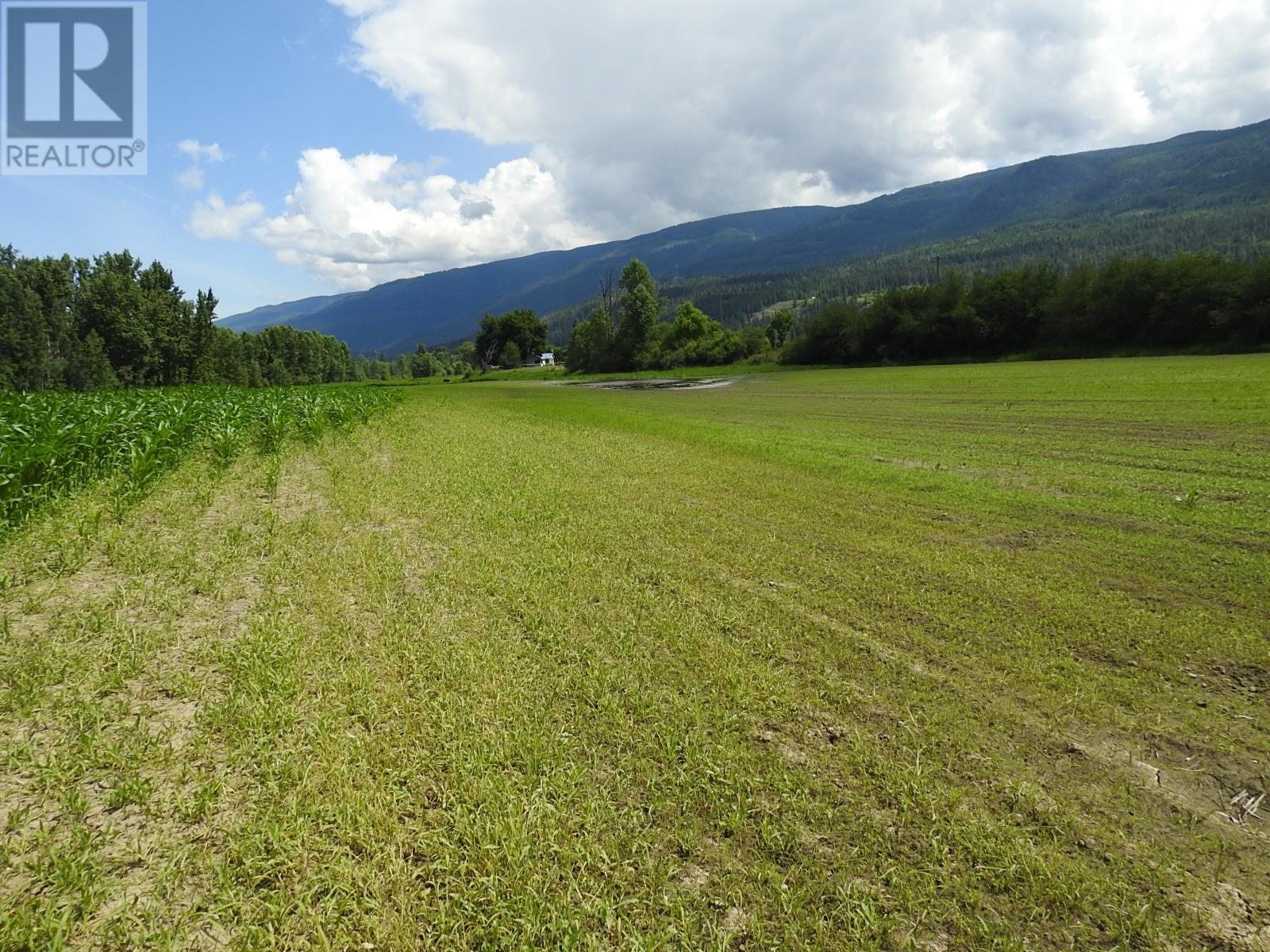 7160 97-A Highway, Grindrod, British Columbia  V0E 2K0 - Photo 16 - 10319913