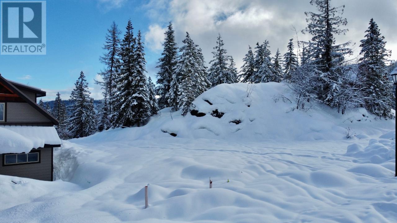 1018 Olaus Way, Rossland, British Columbia  V0G 1Y0 - Photo 10 - 2478574