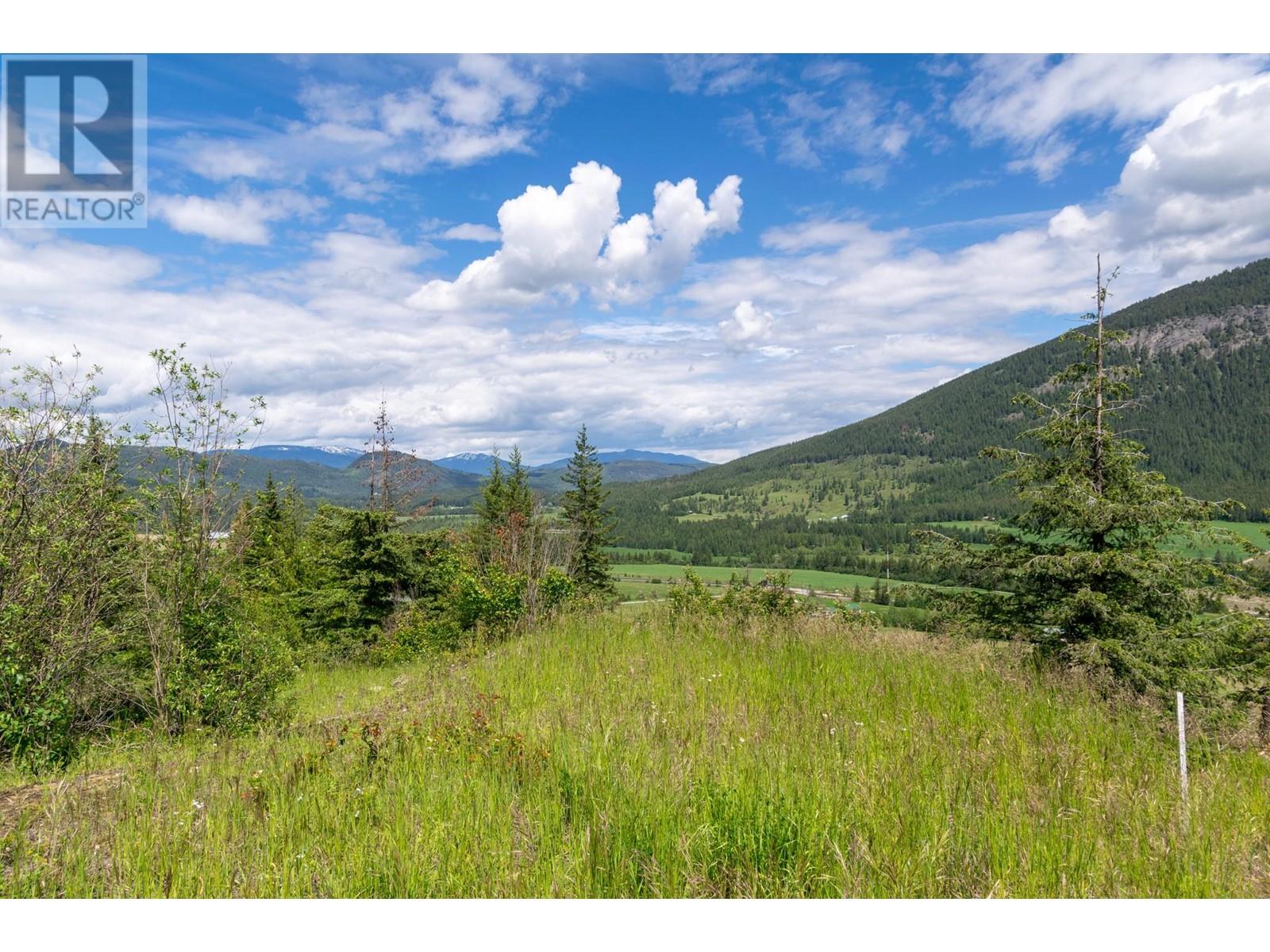 Planned Lot 1 Tappen Notch Hill Road, Tappen, British Columbia  V0E 2X3 - Photo 1 - 10317197