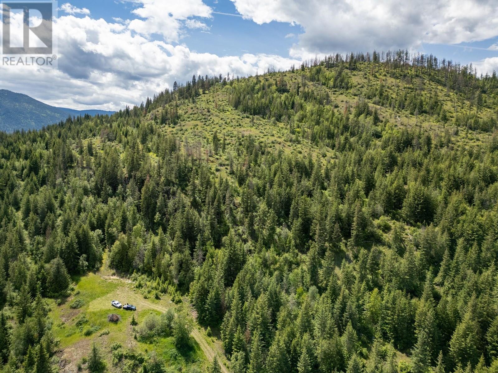 Planned Lot 1 Tappen Notch Hill Road, Tappen, British Columbia  V0E 2X3 - Photo 11 - 10317197