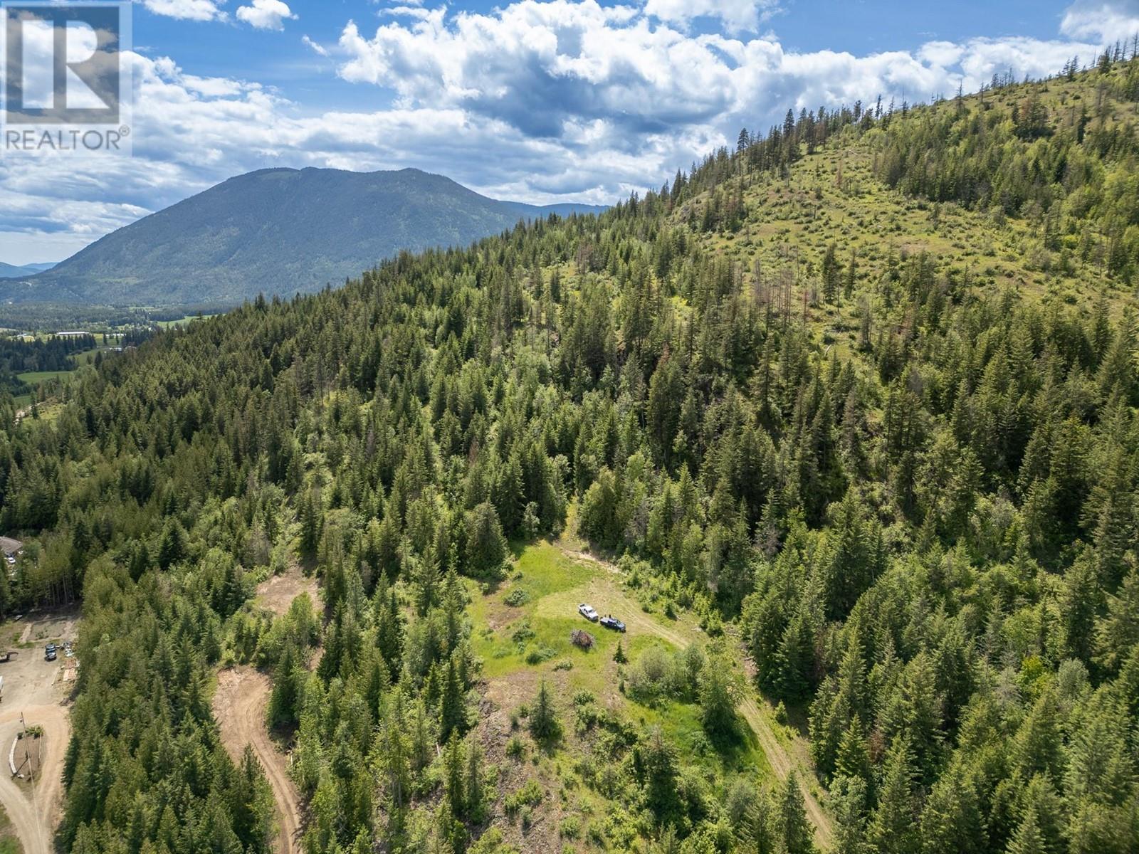 Planned Lot 1 Tappen Notch Hill Road, Tappen, British Columbia  V0E 2X3 - Photo 13 - 10317197