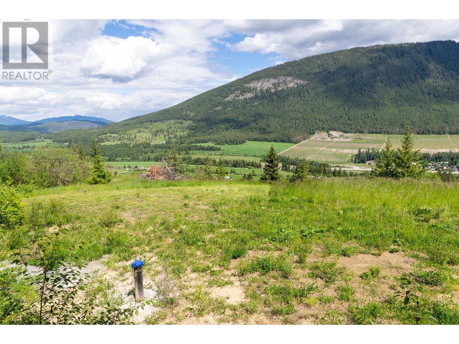 Planned Lot 1 Tappen Notch Hill Road, Tappen, British Columbia  V0E 2X3 - Photo 14 - 10317197