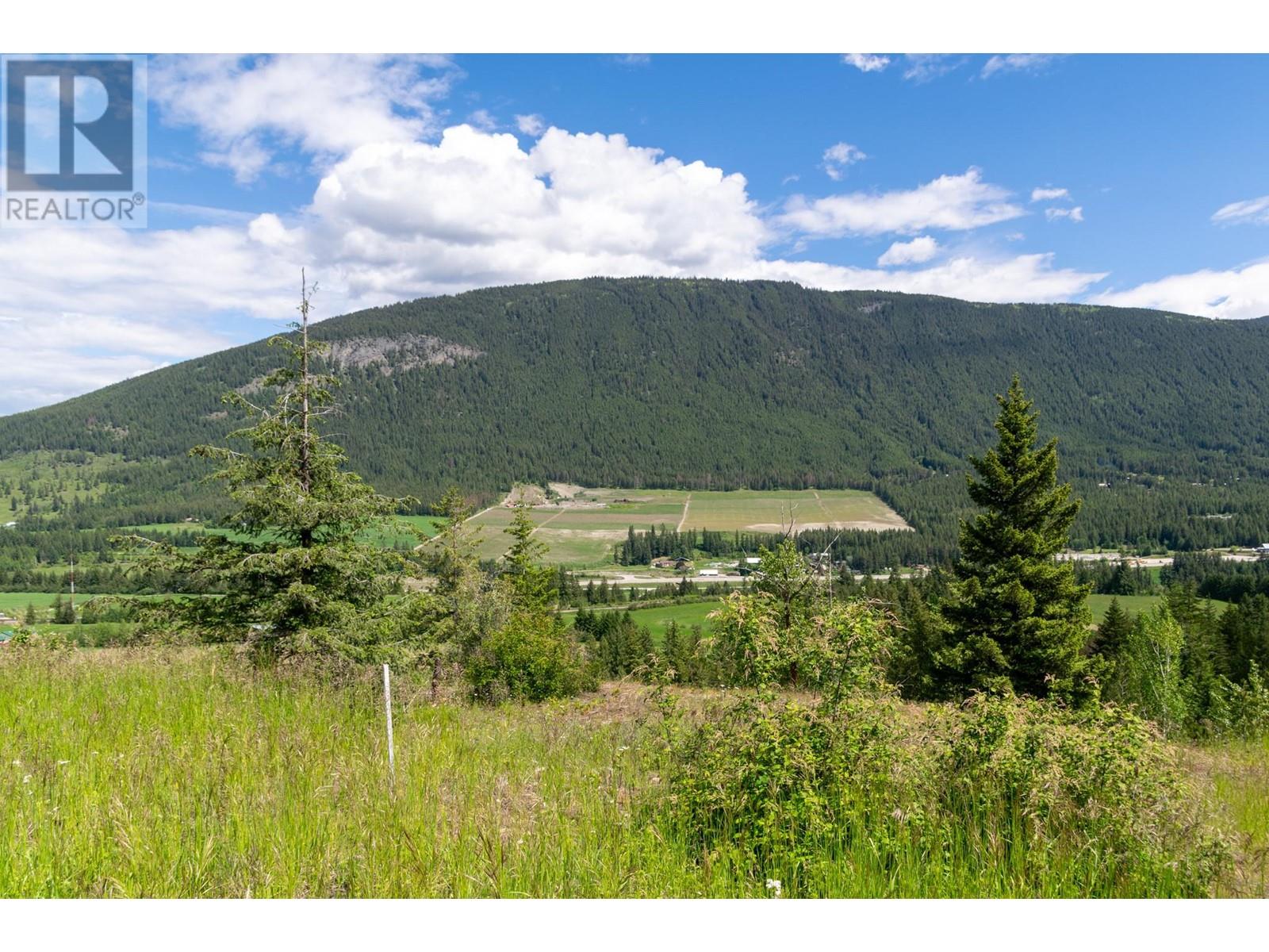 Planned Lot 1 Tappen Notch Hill Road, Tappen, British Columbia  V0E 2X3 - Photo 2 - 10317197