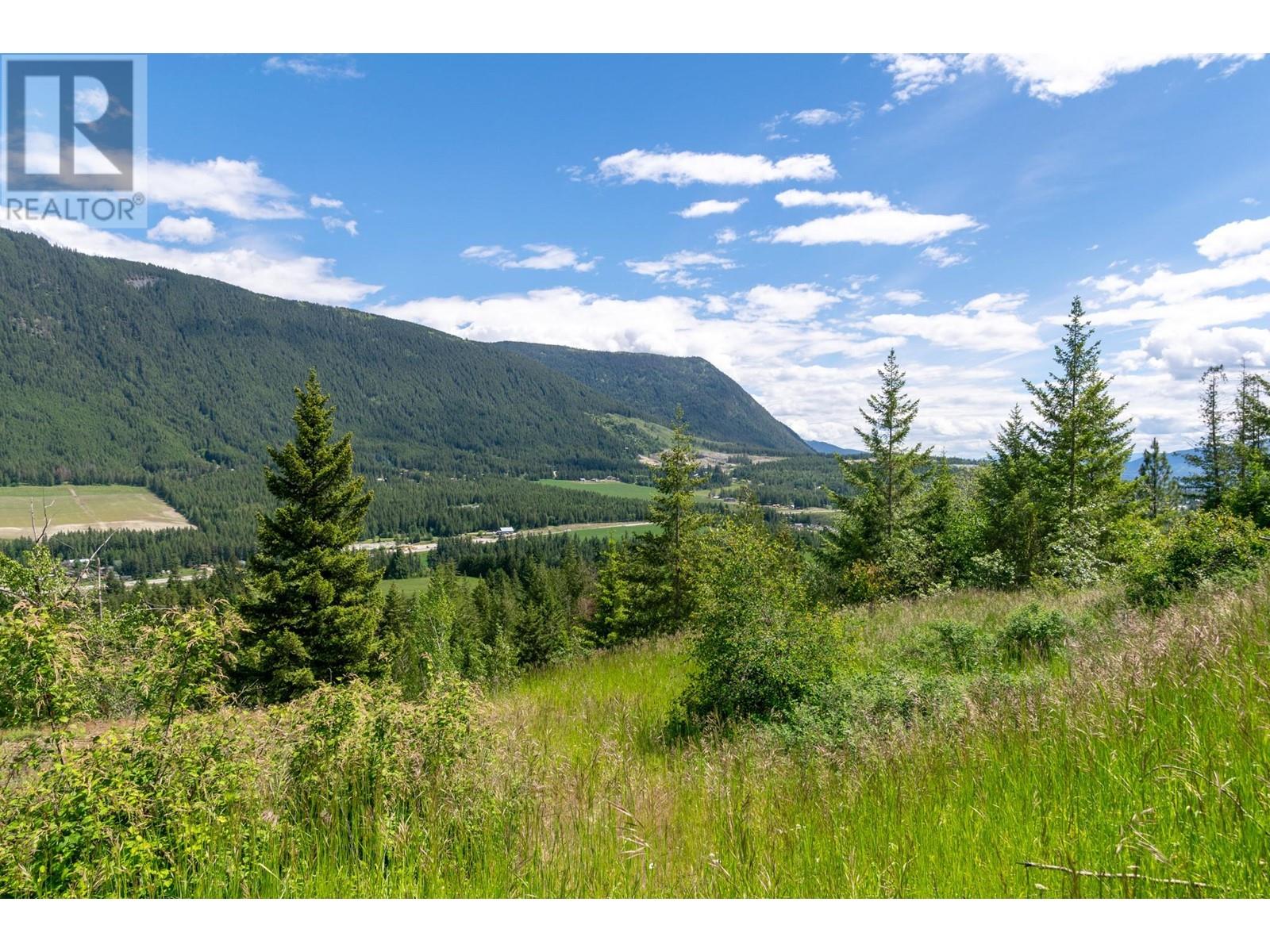 Planned Lot 1 Tappen Notch Hill Road, Tappen, British Columbia  V0E 2X3 - Photo 3 - 10317197