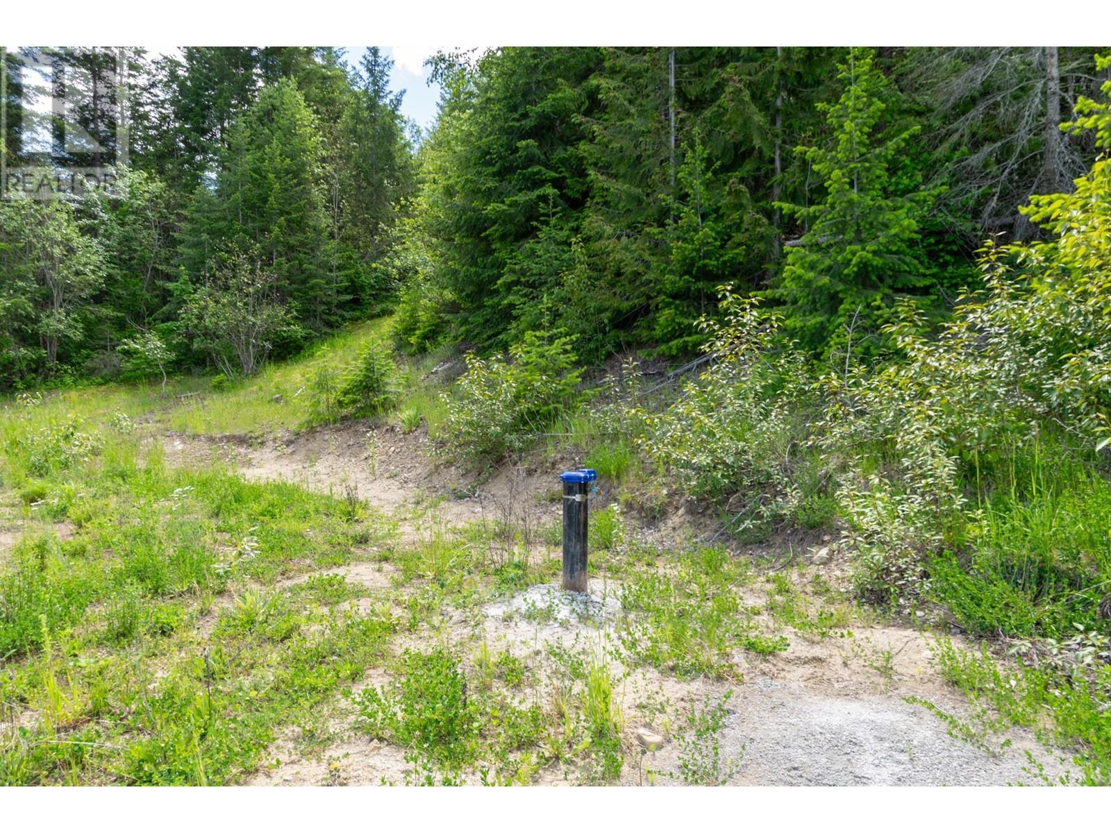 Planned Lot 1 Tappen Notch Hill Road, Tappen, British Columbia  V0E 2X3 - Photo 6 - 10317197