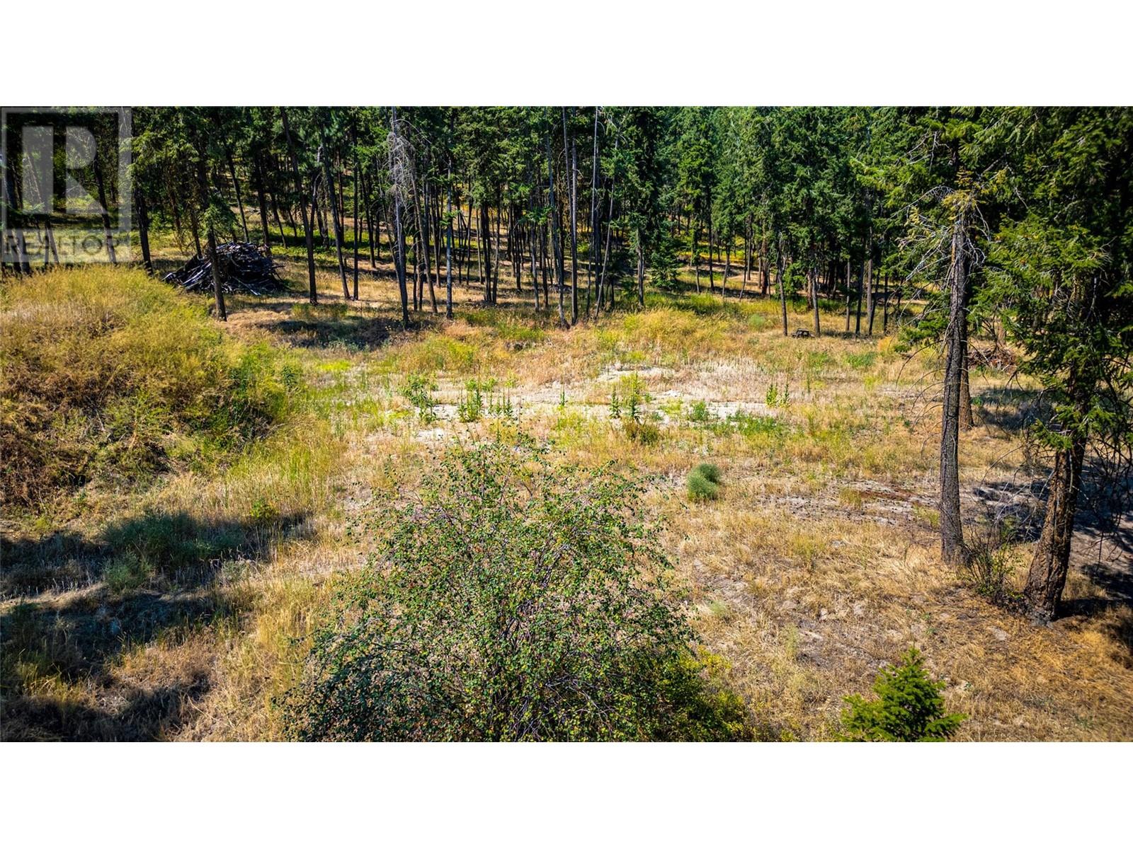 10080 Chase Road, Lake Country, British Columbia  V4V 1P3 - Photo 8 - 10319504