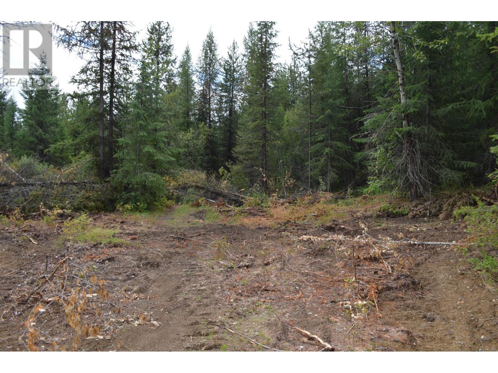 Lot 2 3 Highway, Grand Forks, British Columbia  V0H 1H5 - Photo 10 - 2478746