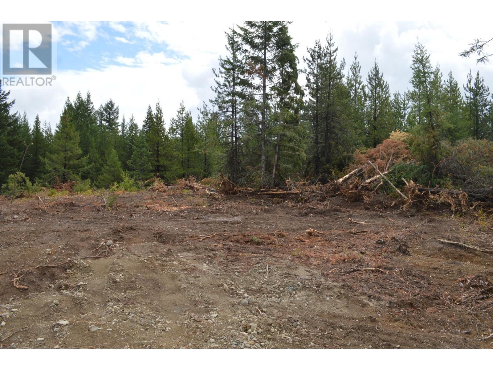 Lot 2 3 Highway, Grand Forks, British Columbia  V0H 1H5 - Photo 11 - 2478746