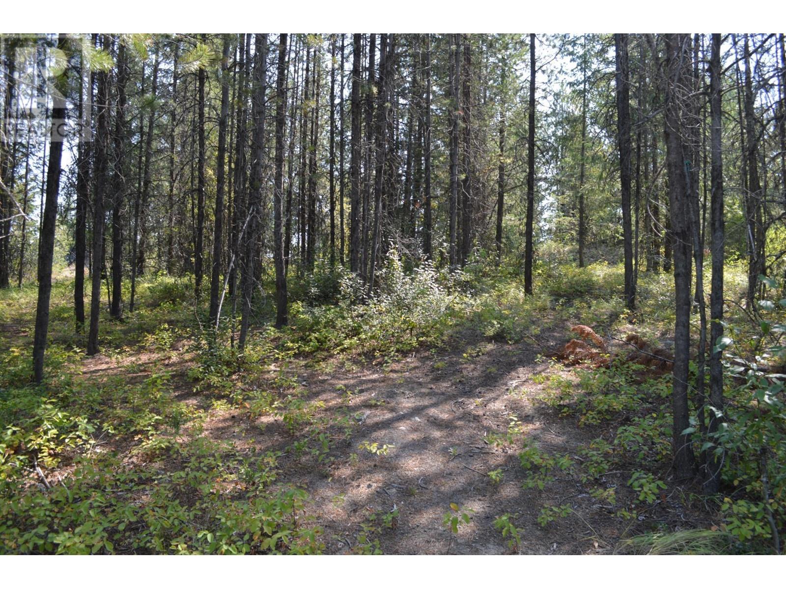 Lot 2 3 Highway, Grand Forks, British Columbia  V0H 1H5 - Photo 15 - 2478746