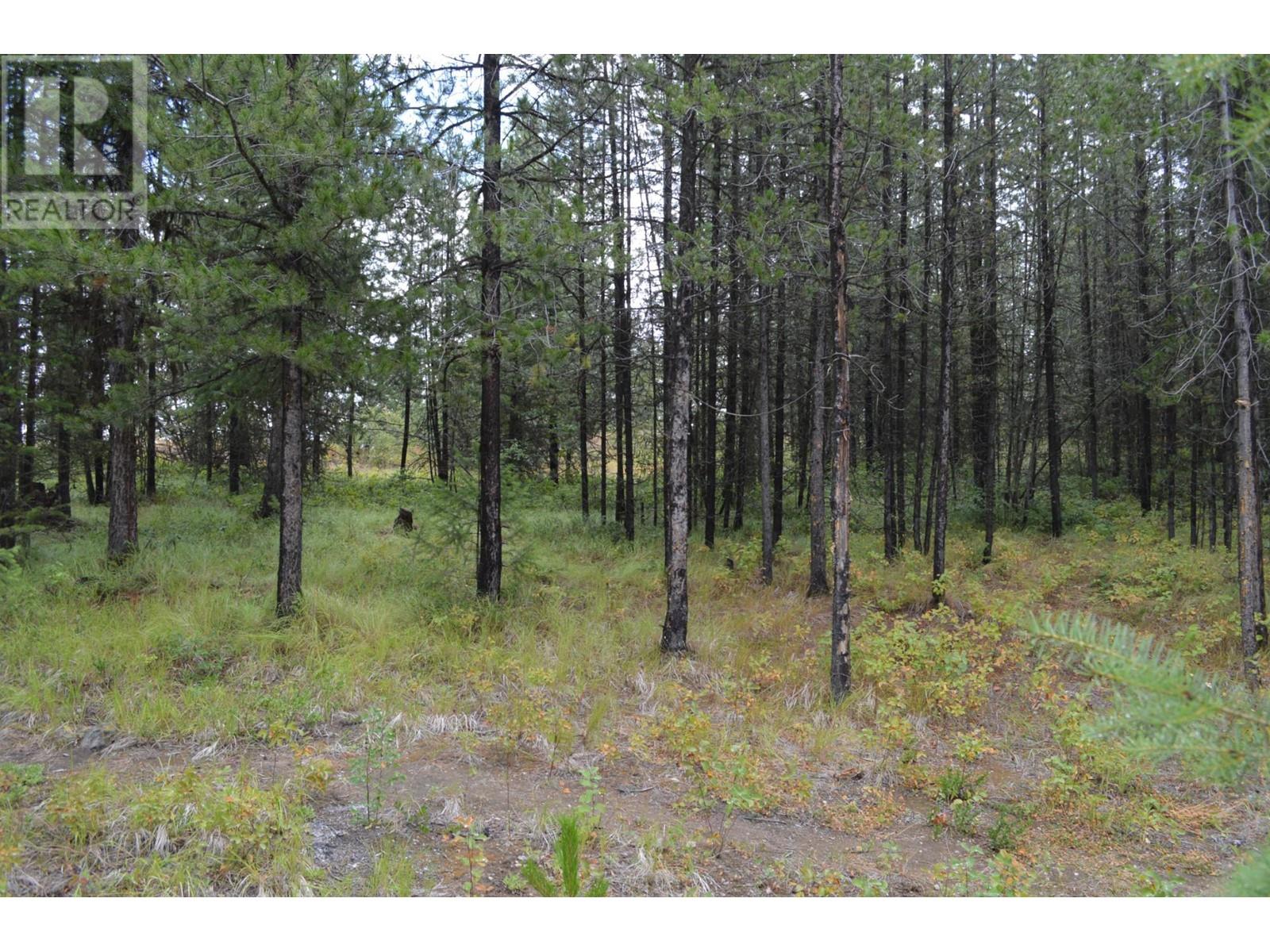 Lot 1 3 Highway, Grand Forks, British Columbia  V0H 1H5 - Photo 10 - 2478745