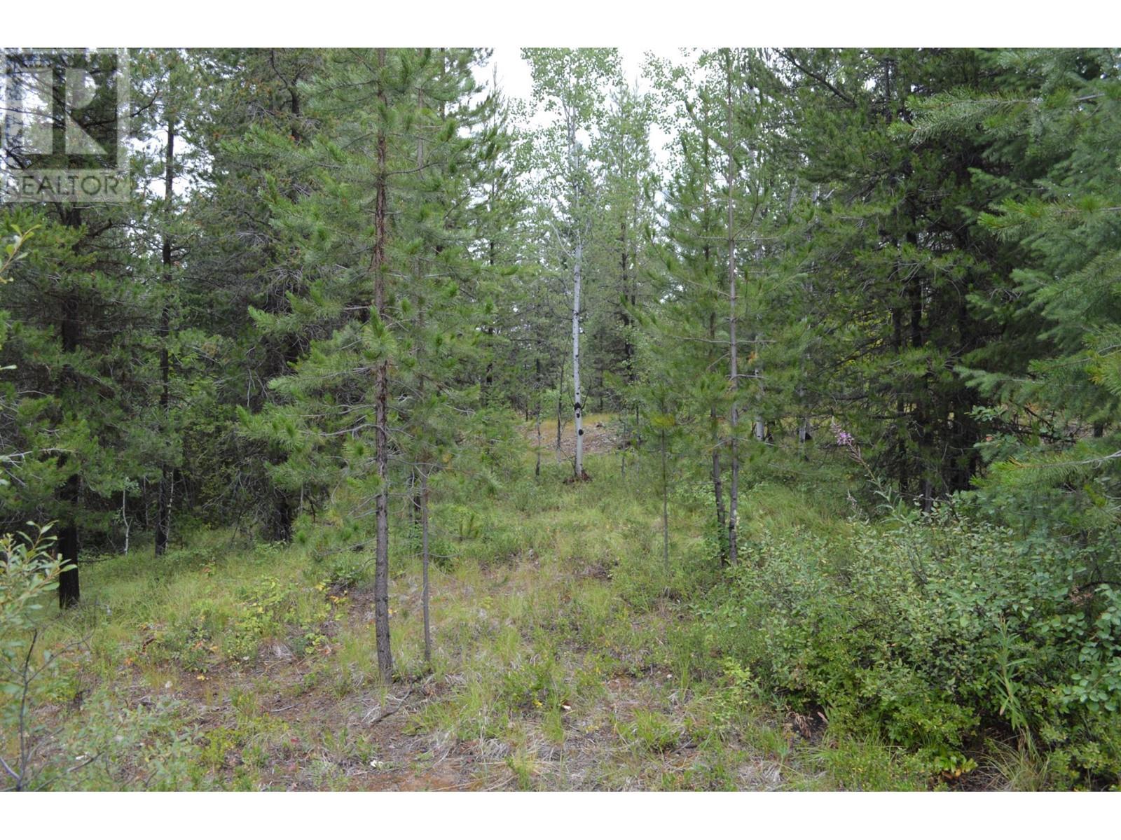 Lot 1 3 Highway, Grand Forks, British Columbia  V0H 1H5 - Photo 11 - 2478745