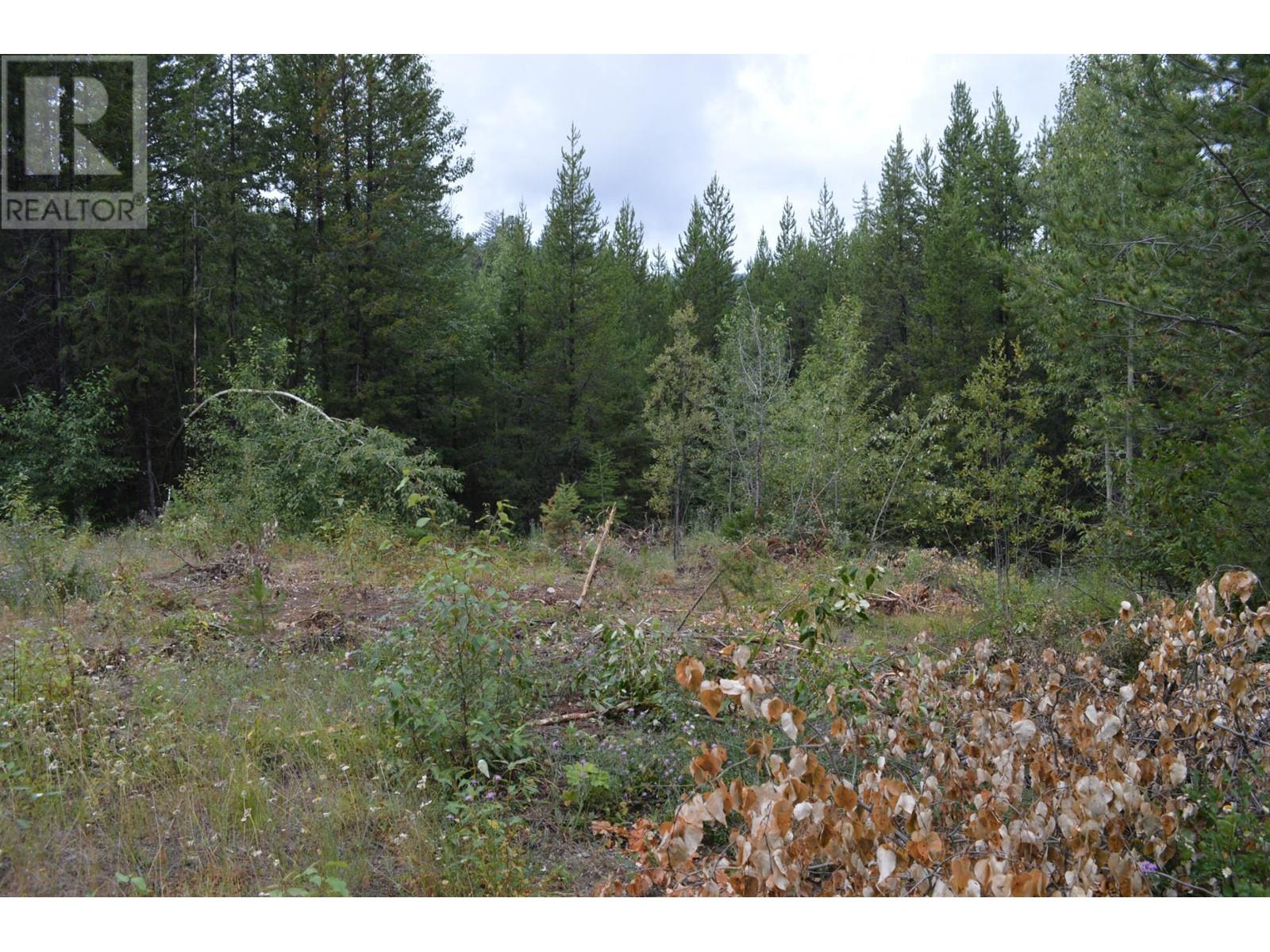 Lot 1 3 Highway, Grand Forks, British Columbia  V0H 1H5 - Photo 12 - 2478745