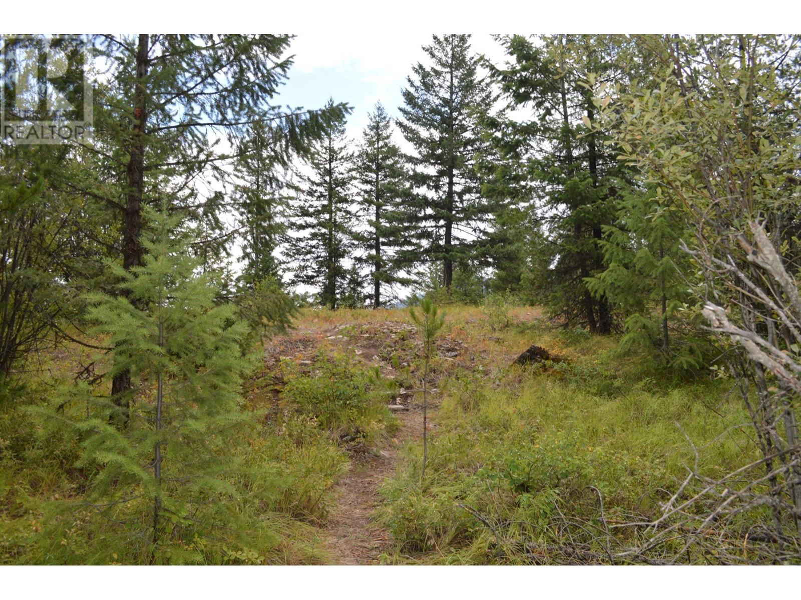 Lot 1 3 Highway, Grand Forks, British Columbia  V0H 1H5 - Photo 13 - 2478745