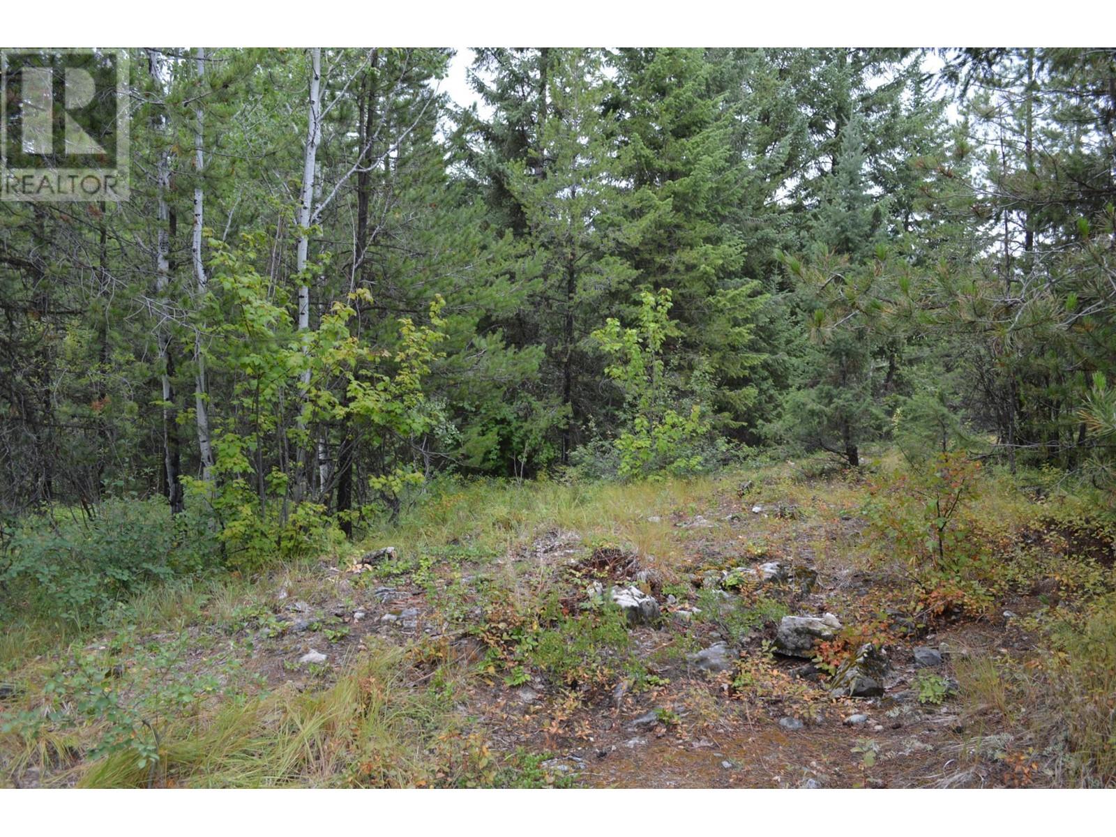 Lot 1 3 Highway, Grand Forks, British Columbia  V0H 1H5 - Photo 14 - 2478745