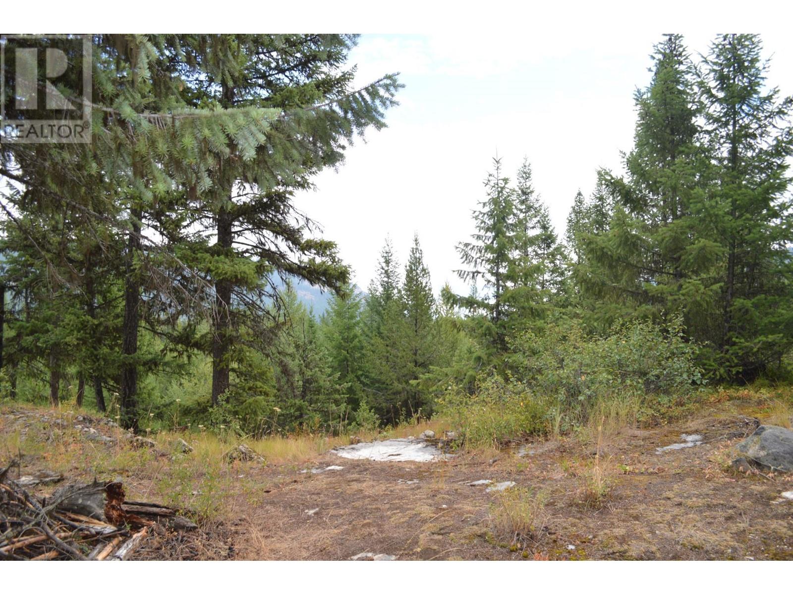 Lot 1 3 Highway, Grand Forks, British Columbia  V0H 1H5 - Photo 16 - 2478745