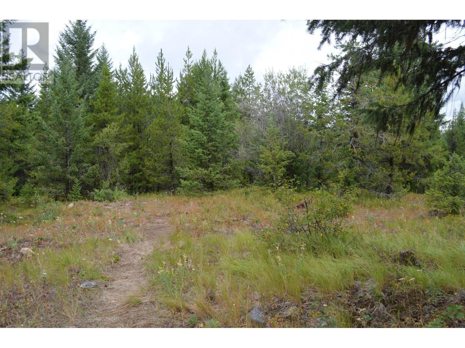 Lot 1 3 Highway, Grand Forks, British Columbia  V0H 1H5 - Photo 17 - 2478745