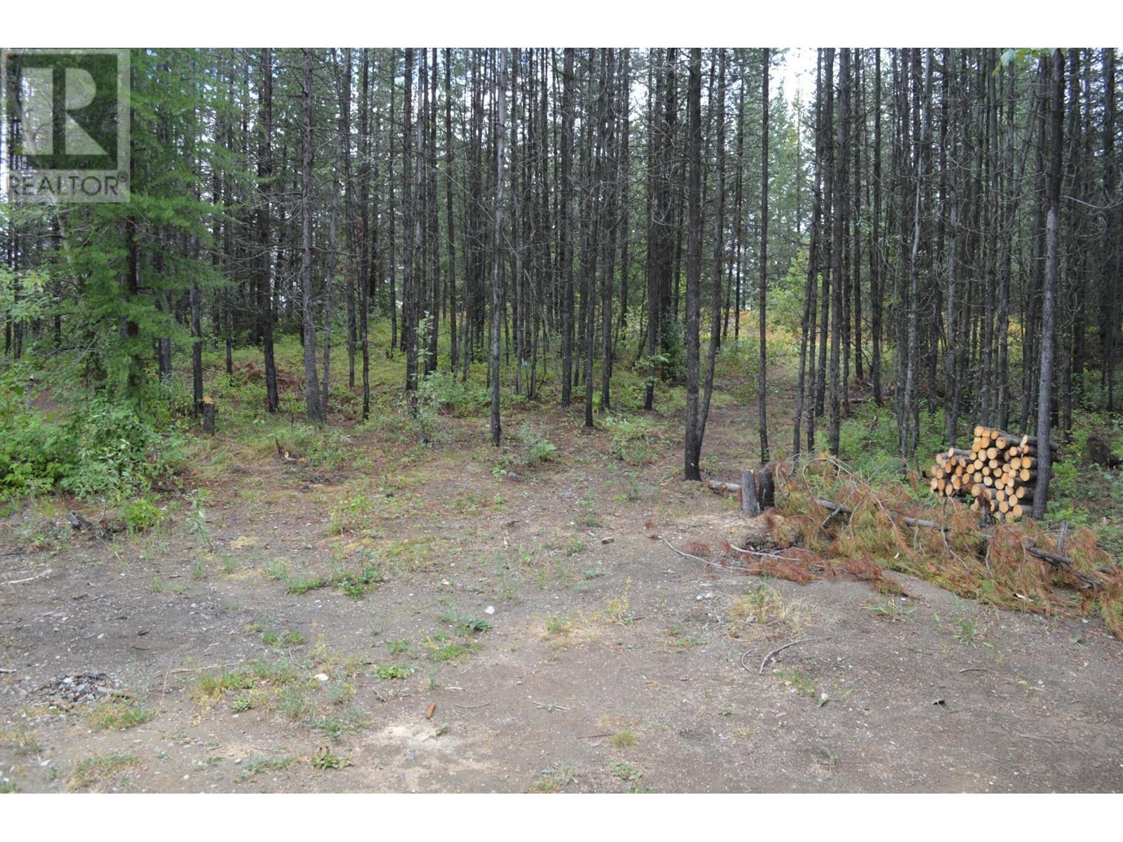 Lot 1 3 Highway, Grand Forks, British Columbia  V0H 1H5 - Photo 4 - 2478745