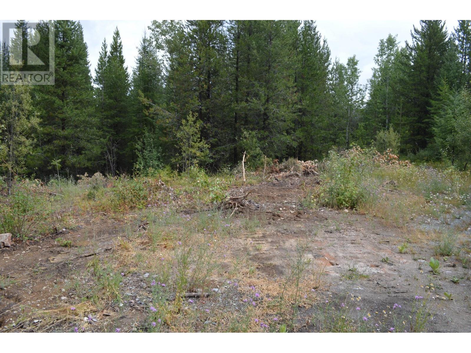 Lot 1 3 Highway, Grand Forks, British Columbia  V0H 1H5 - Photo 6 - 2478745