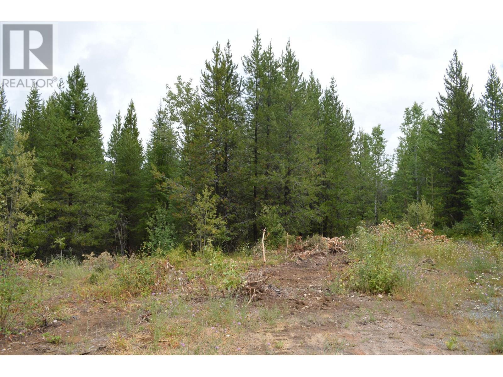 Lot 1 3 Highway, Grand Forks, British Columbia  V0H 1H5 - Photo 7 - 2478745