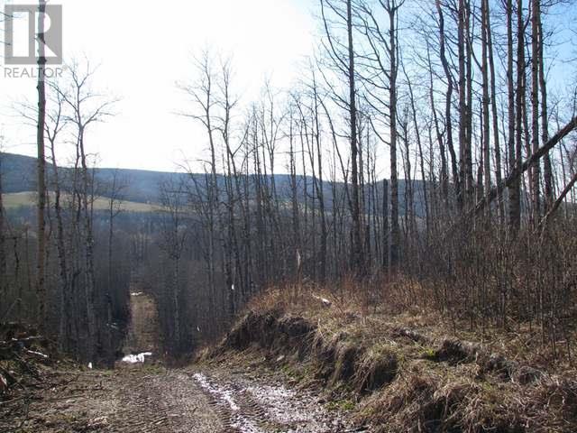 On 227 Road Lot# Lot 2, Dawson Creek, British Columbia  V1G 4H7 - Photo 3 - 10320902