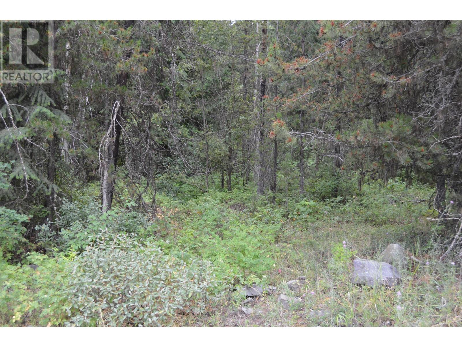 Lot 3 3 Highway, Grand Forks, British Columbia  V0H 1H5 - Photo 11 - 2478808